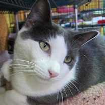 Thumbnail photo of Clyde (Sponsored) #2