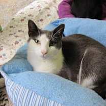 Thumbnail photo of Clyde (Sponsored) #3