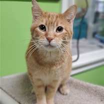 Thumbnail photo of Perry #1