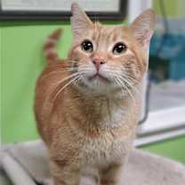 Thumbnail photo of Perry #2