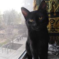 Thumbnail photo of Blinky #2