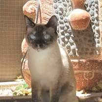 Thumbnail photo of Ellie Mae #2