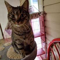 Thumbnail photo of Twiggy #3