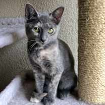 Thumbnail photo of Bonnie #2