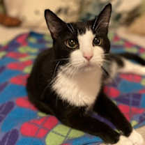 Thumbnail photo of Daisy #1