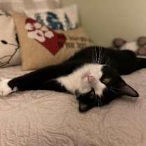 Thumbnail photo of Daisy #3