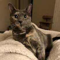 Thumbnail photo of Bonnie #1