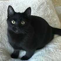 Thumbnail photo of Bodie #1