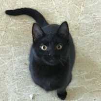 Thumbnail photo of Bodie #2