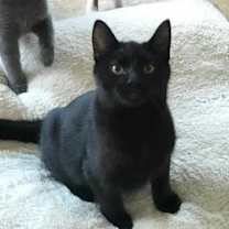 Thumbnail photo of Bodie #4