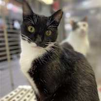 Thumbnail photo of Waffles #1