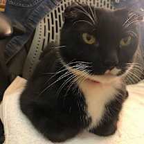 Thumbnail photo of Luna #2
