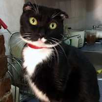 Thumbnail photo of Luna #3