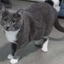 Thumbnail photo of Zali #3