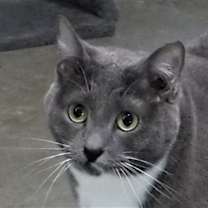 Thumbnail photo of Zali #1