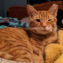 Thumbnail photo of Reese #3