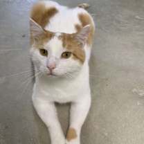Thumbnail photo of Finley #2