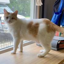 Thumbnail photo of Finley #3