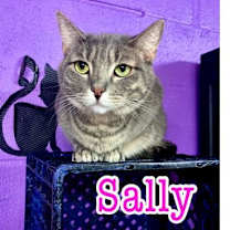 Thumbnail photo of SALLY #1
