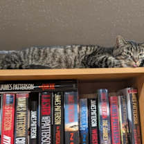 Thumbnail photo of Frida #4