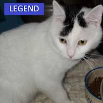 Thumbnail photo of Legend #1
