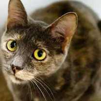 Thumbnail photo of Penelope #3