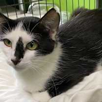 Thumbnail photo of Nadia #2