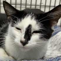 Thumbnail photo of Nadia #4
