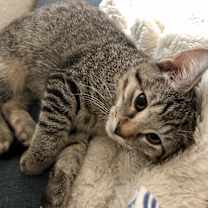 Thumbnail photo of Imogene #2