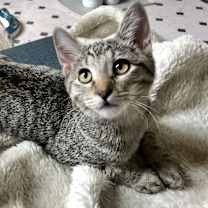 Thumbnail photo of Imogene #3