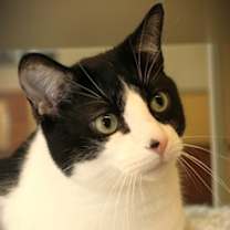 Thumbnail photo of Carson #1