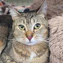 Thumbnail photo of Hazel Mae #1