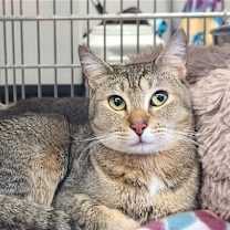 Thumbnail photo of Hazel Mae #2