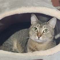 Thumbnail photo of Hazel Mae #3