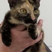 Thumbnail photo of SPOOKY #1