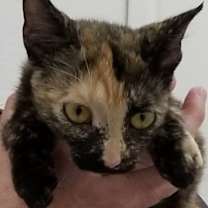 Thumbnail photo of SPOOKY #2