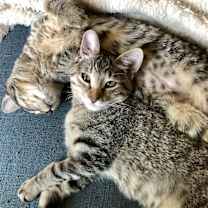 Thumbnail photo of Imogene #4