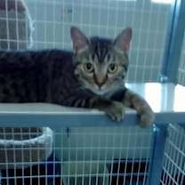 Thumbnail photo of Catrina #1