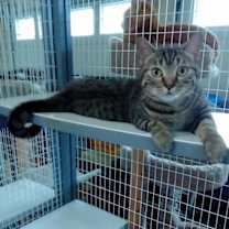 Thumbnail photo of Catrina #2