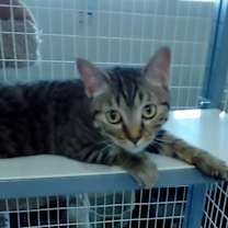 Thumbnail photo of Catrina #3