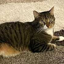 Thumbnail photo of William #1