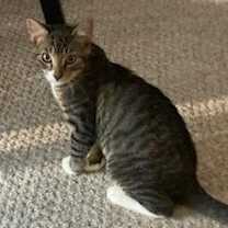 Thumbnail photo of William #2
