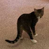 Thumbnail photo of William #3