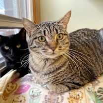Thumbnail photo of Blossom #2