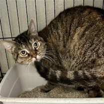 Thumbnail photo of Lola #4