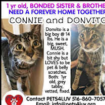 Thumbnail photo of Connie #3