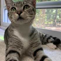 Thumbnail photo of Grayson #4
