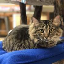 Thumbnail photo of Decklin #2