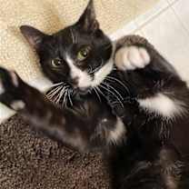 Thumbnail photo of Rune #3
