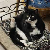 Thumbnail photo of Bea #4